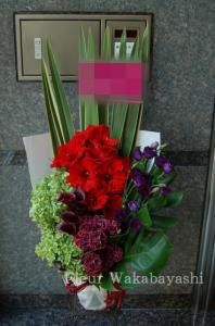 オープン祝い｜「フルール若林」　（北海道札幌市中央区の花キューピット加盟店 花屋）のブログ